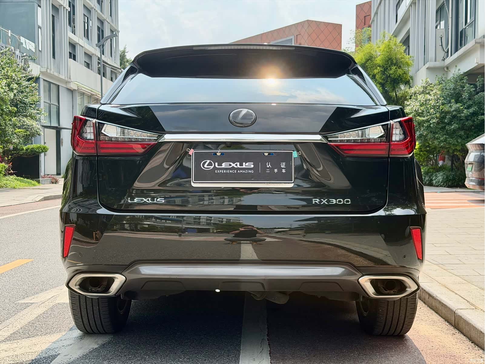Lexus RX, 2016 19