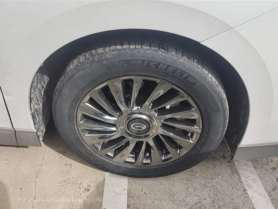 Trumpchi Trumpchi E9