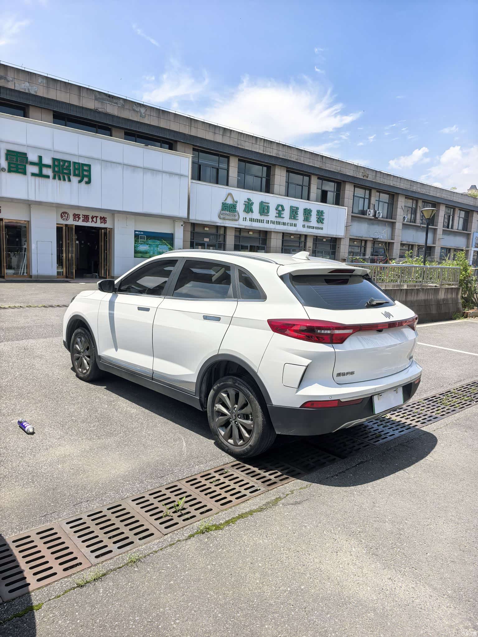 WM Motor EX5, 2019 6