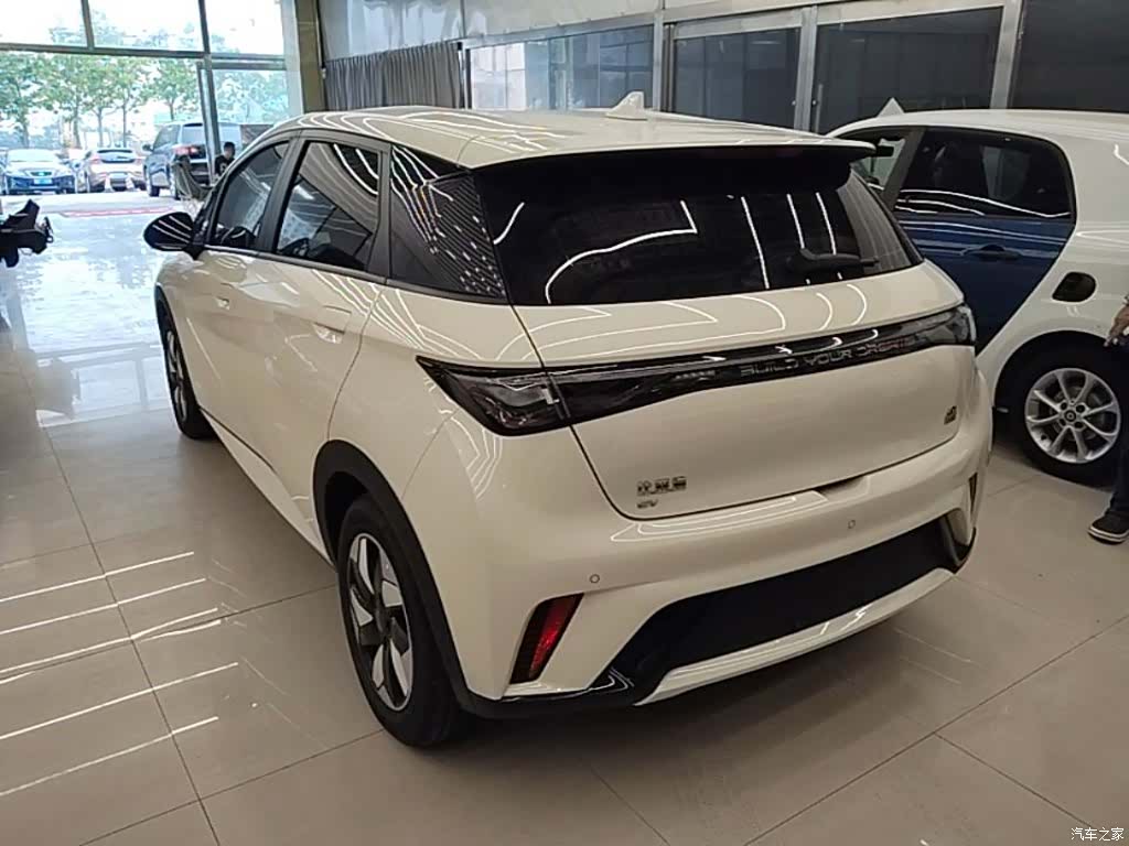 BYD Dolphin, 2024 все фото