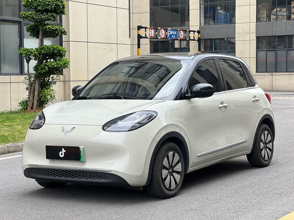 Wuling Binguo