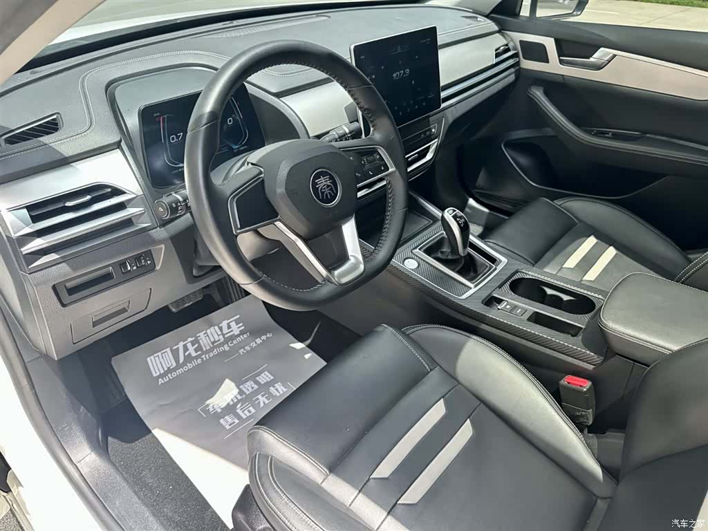 BYD Qin, 2019 8