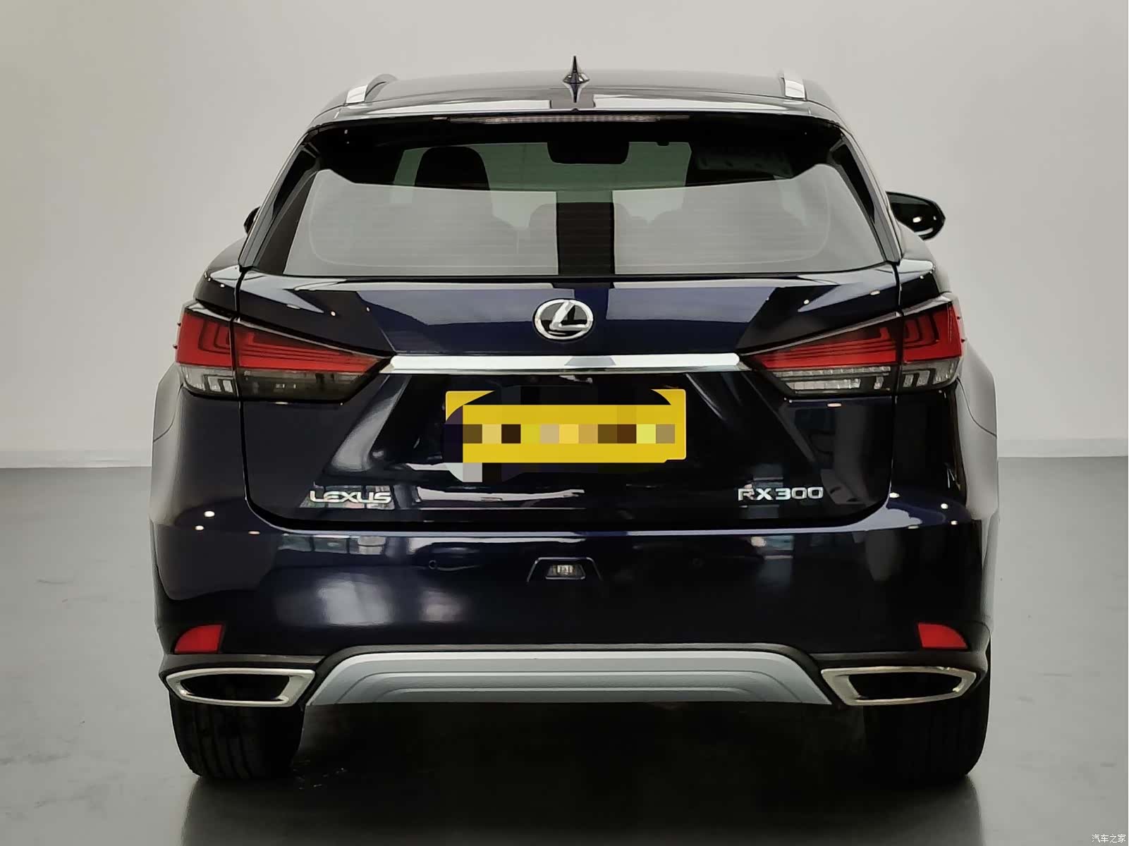 Lexus RX, 2020 4
