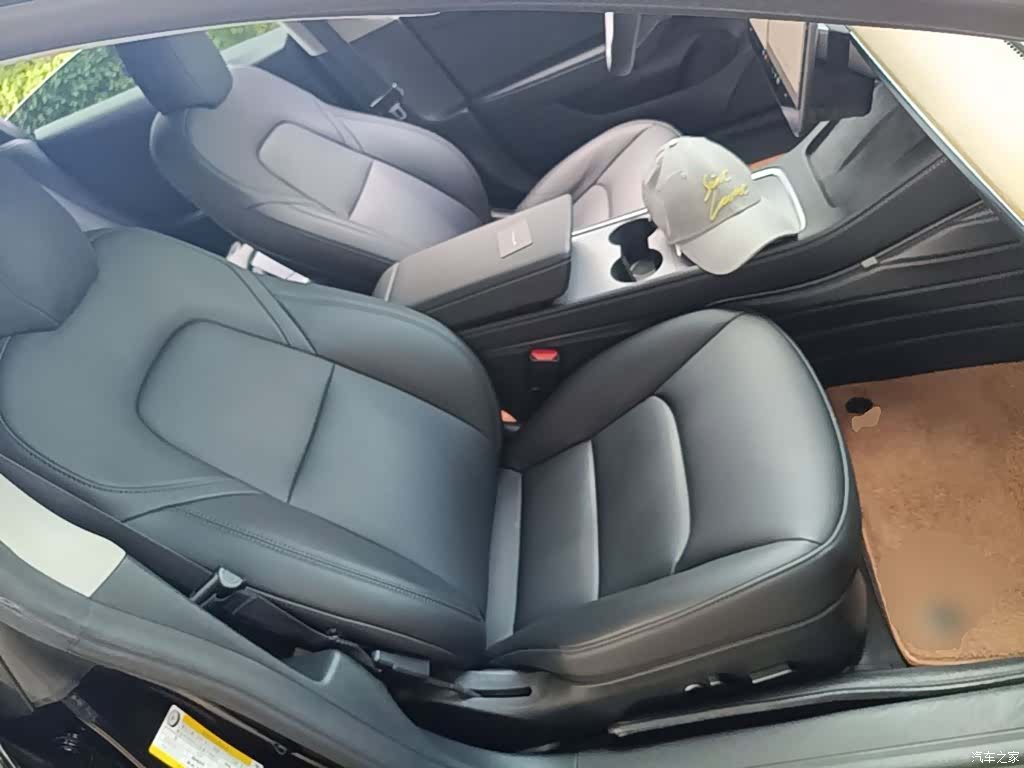 Tesla Model 3, 2021 25