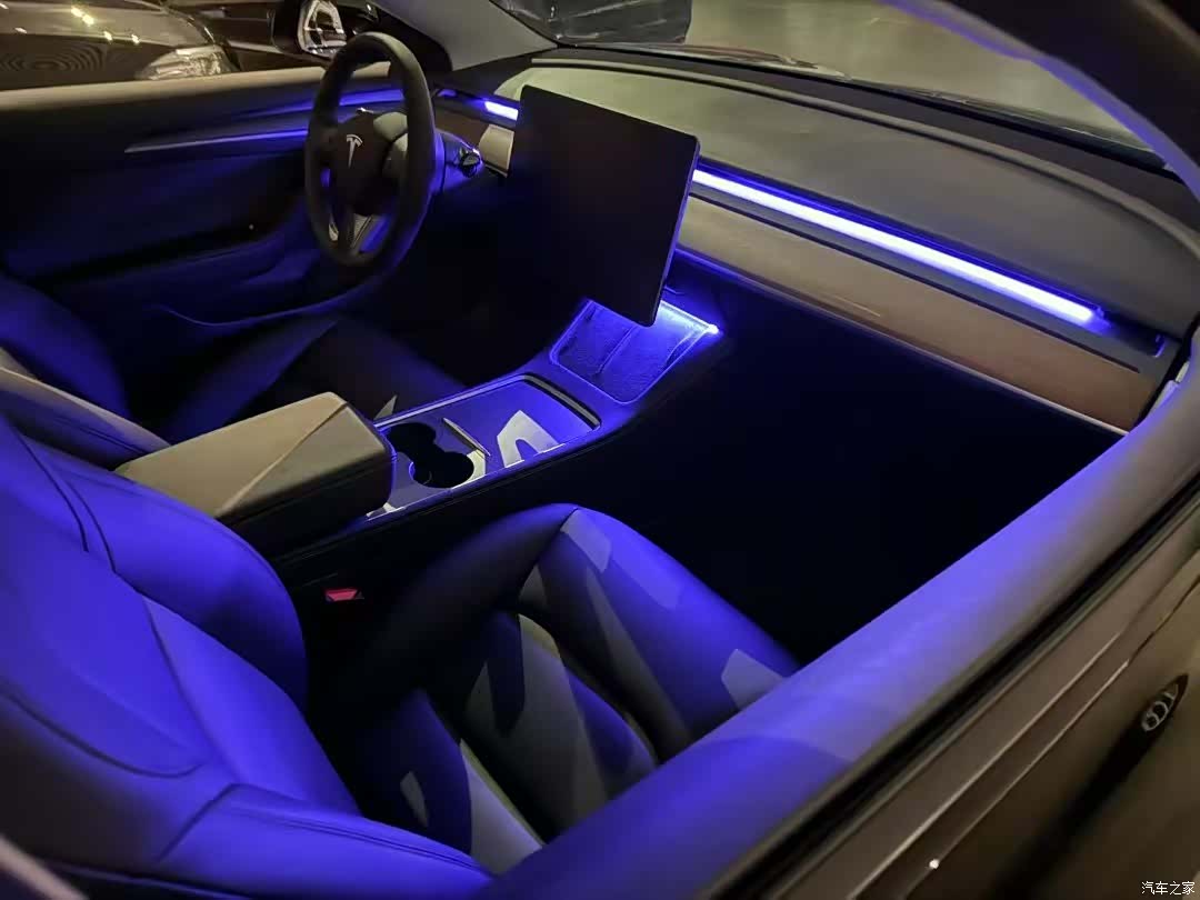 Tesla Model 3, 2021 10