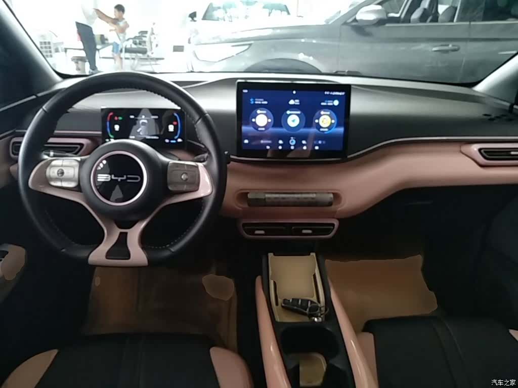 BYD Seagull, 2024 10