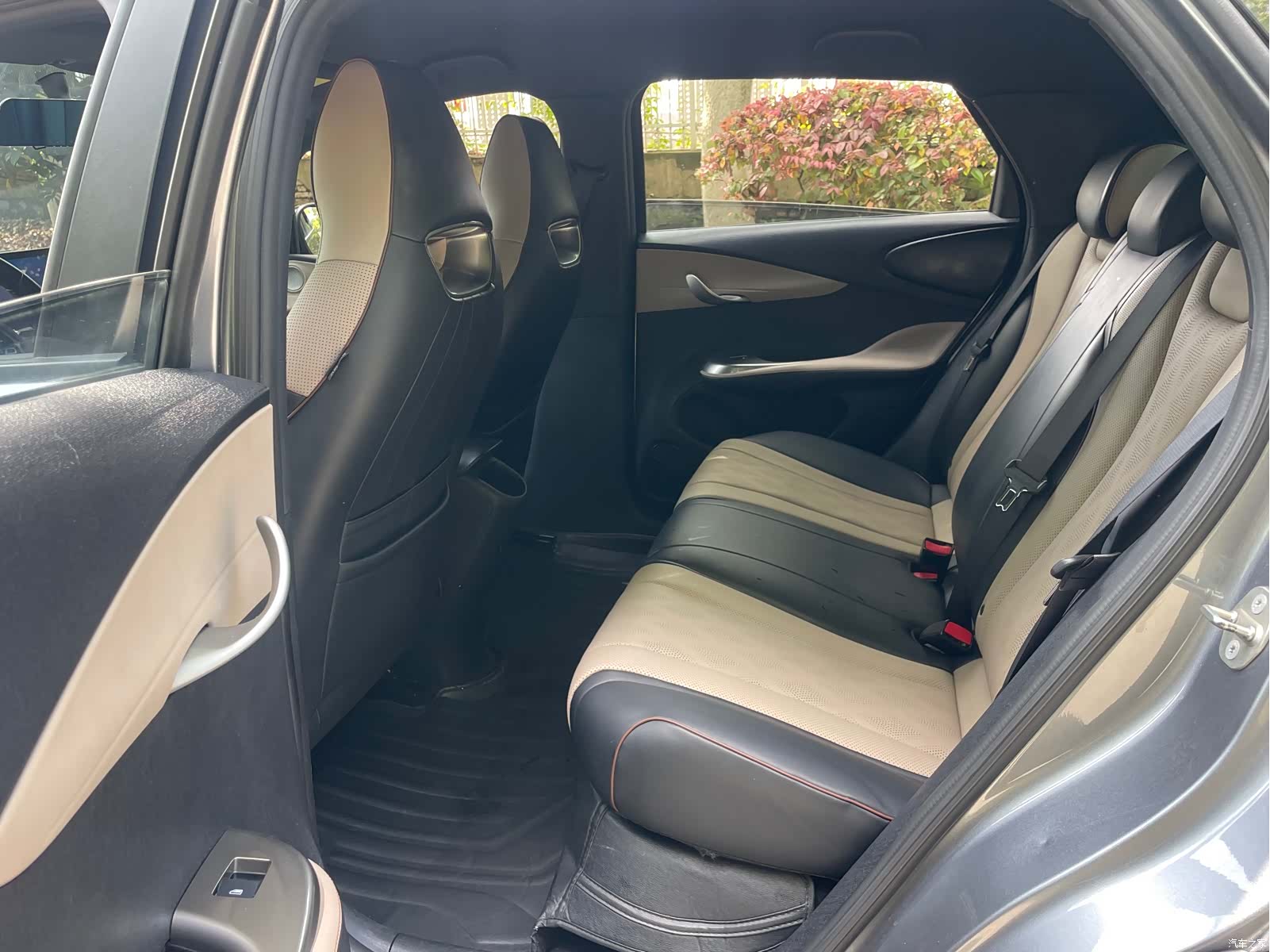 BYD Dolphin, 2023 10