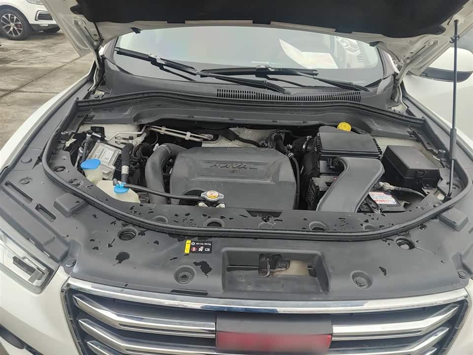 Haval H2s