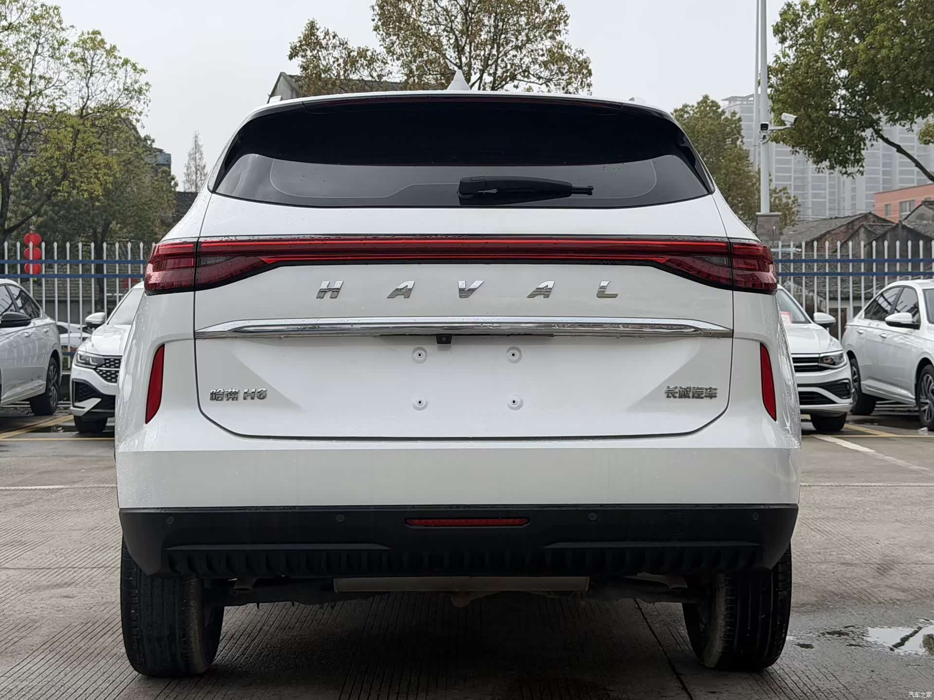 Haval H6, 2023 все фото