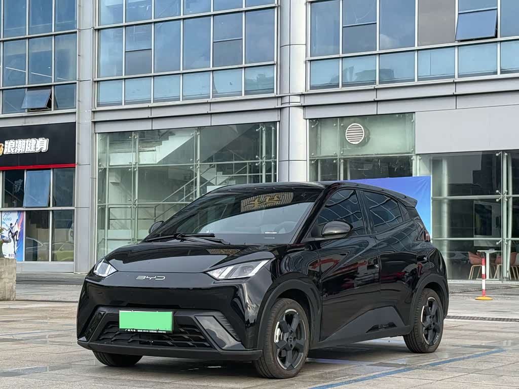 BYD Seagull