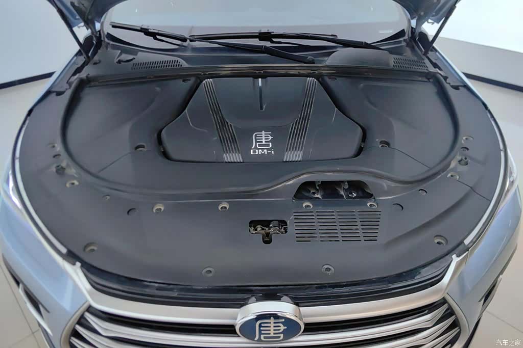 BYD Tang, 2023 10