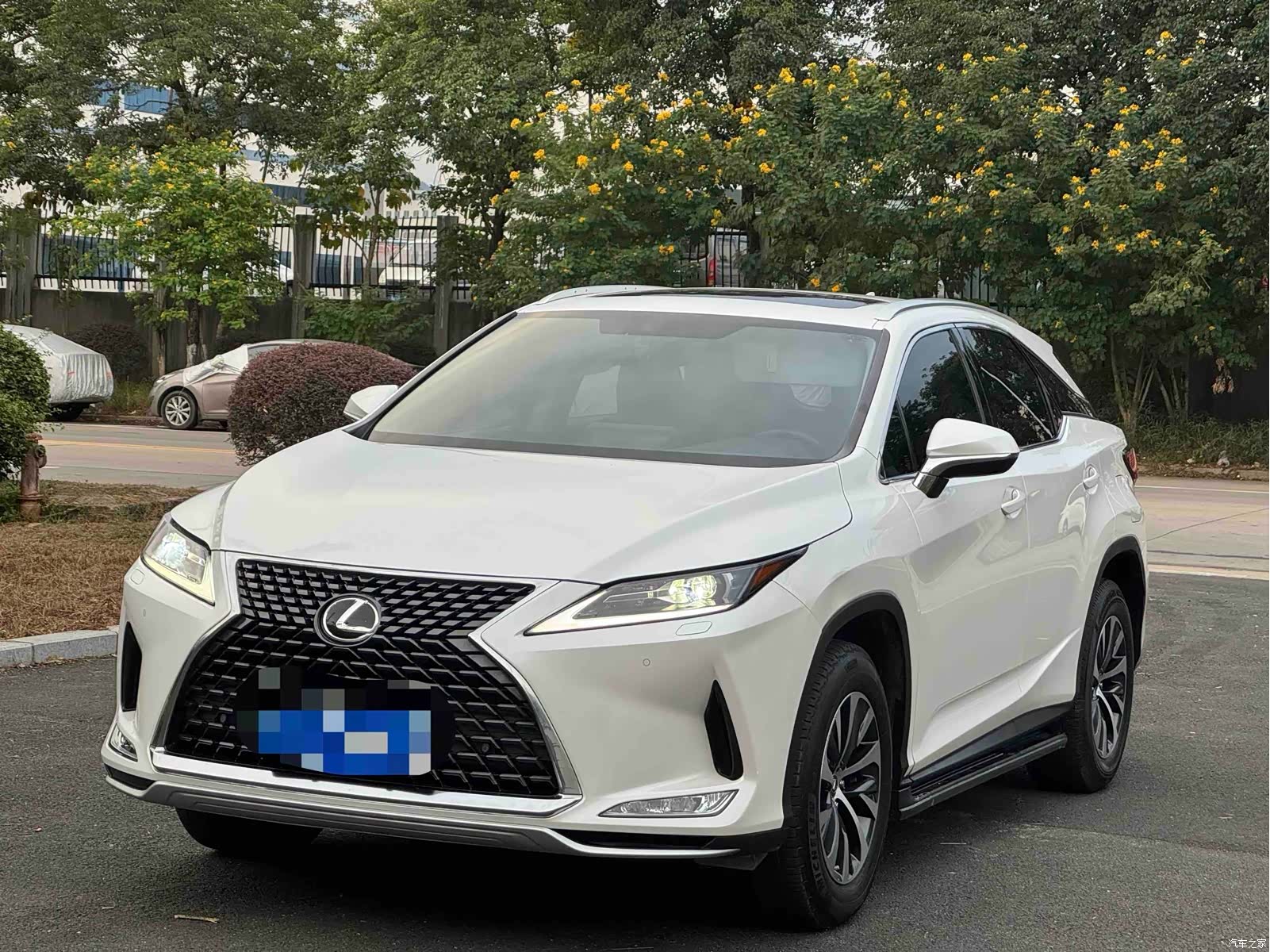 Lexus RX, 2022 3