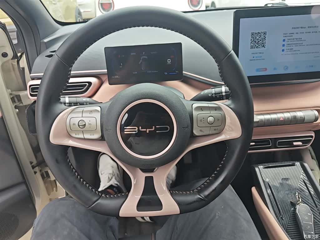 BYD Seagull, 2023 11