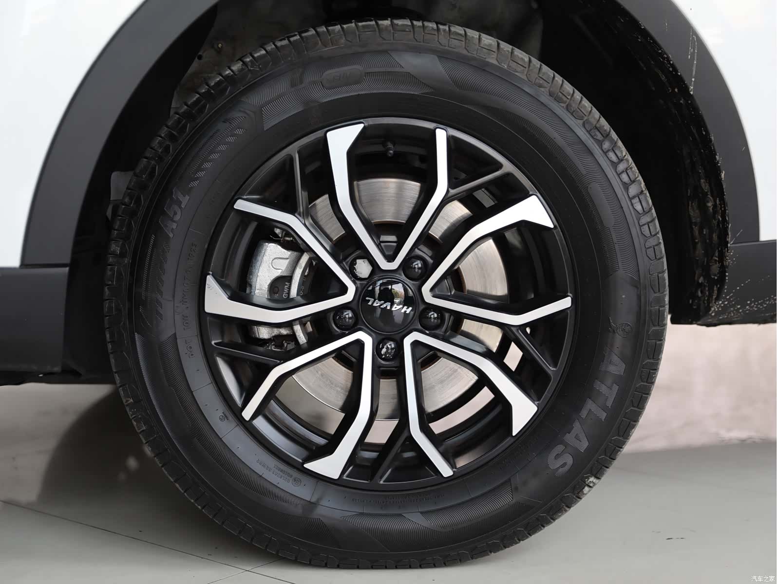 Haval H6, 2023 все фото
