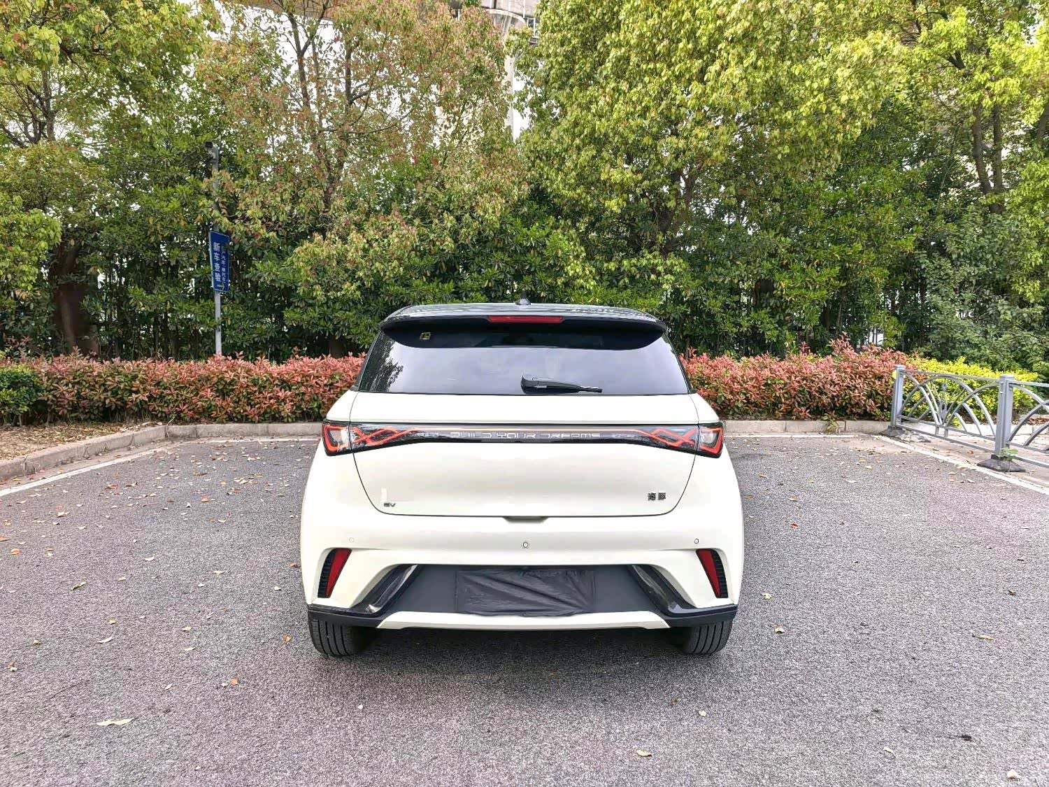 BYD Dolphin, 2024 7