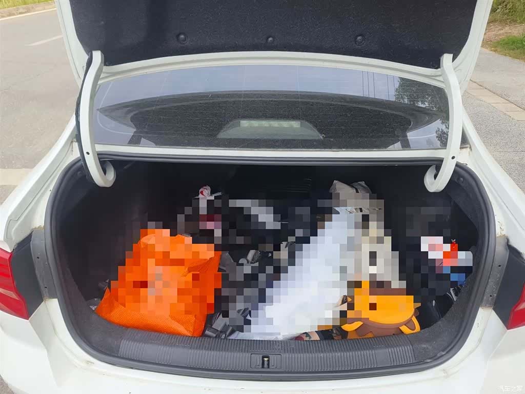 Volkswagen Bora, 2018 10