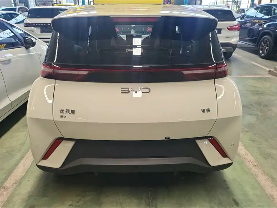 BYD Seagull