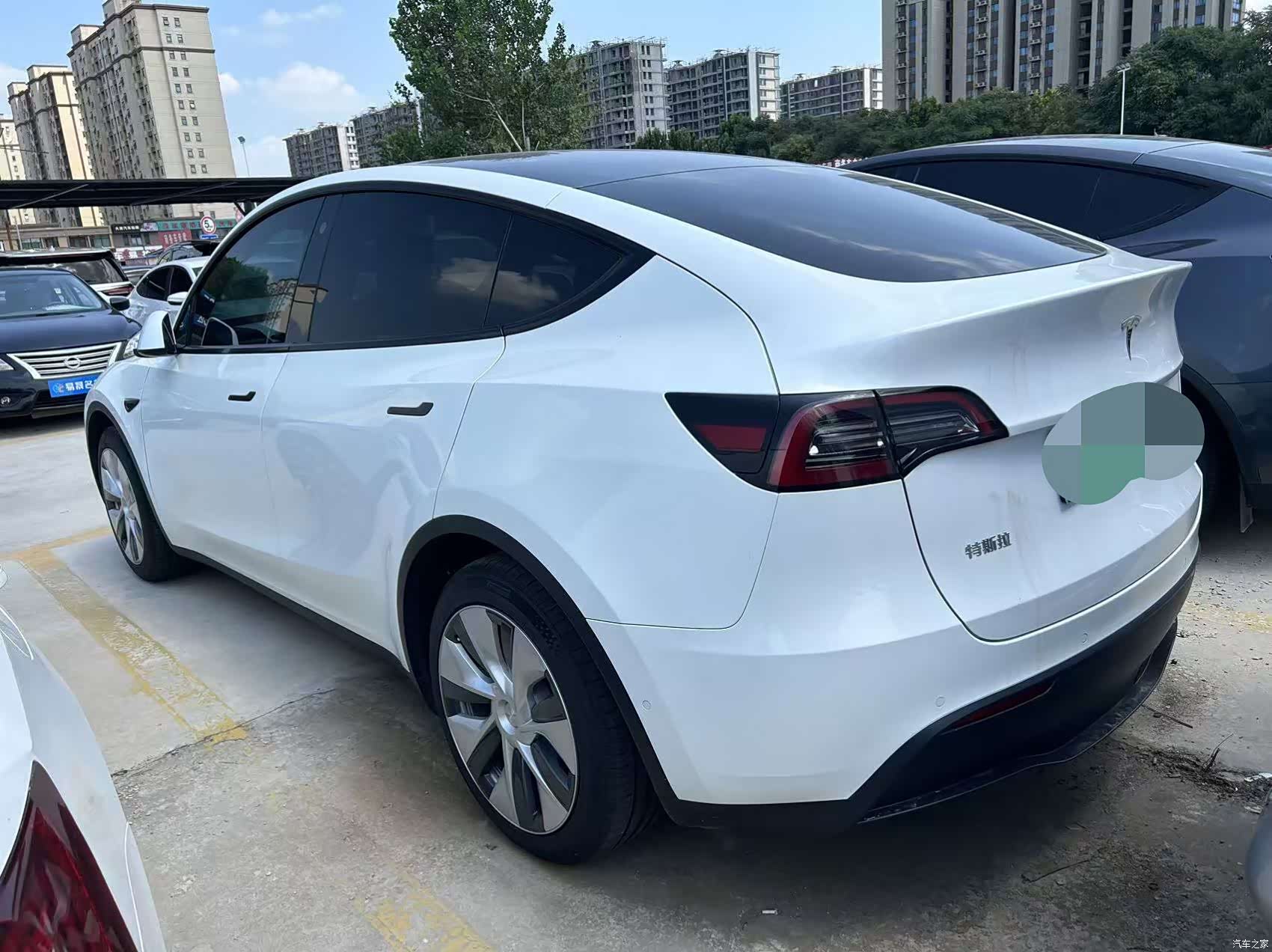 Tesla Model Y, 2023 все фото