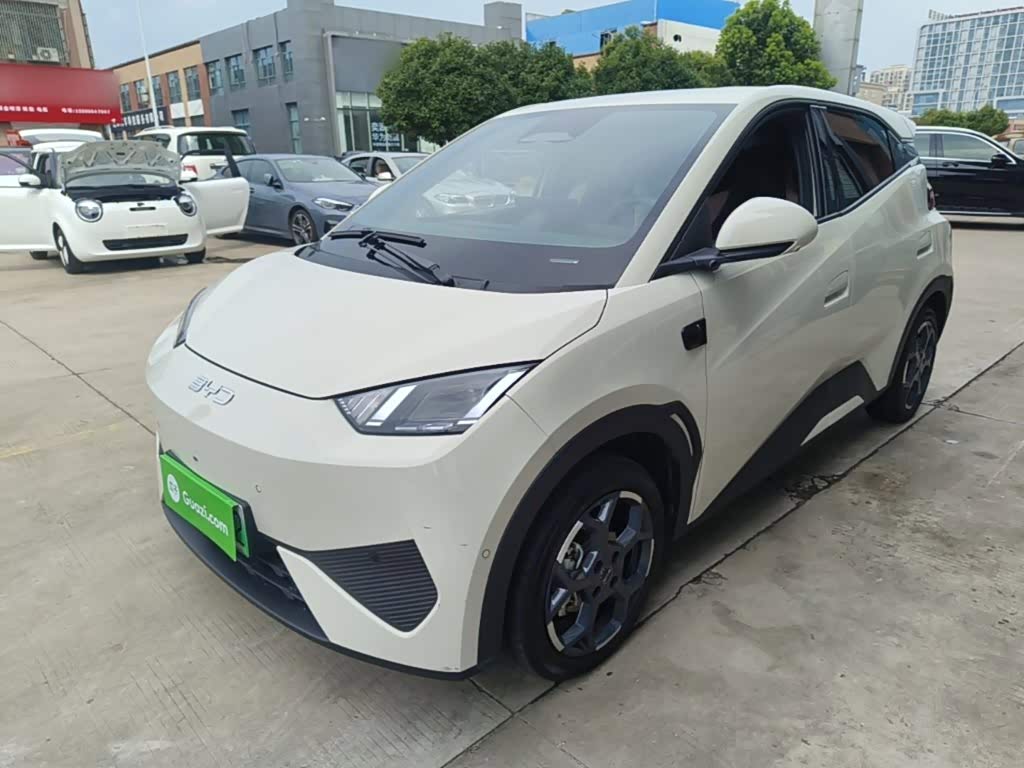 BYD Seagull