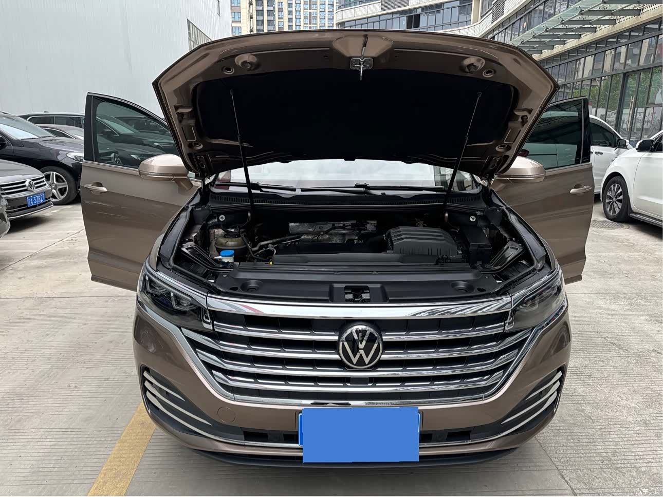 Volkswagen Viloran, 2020 7