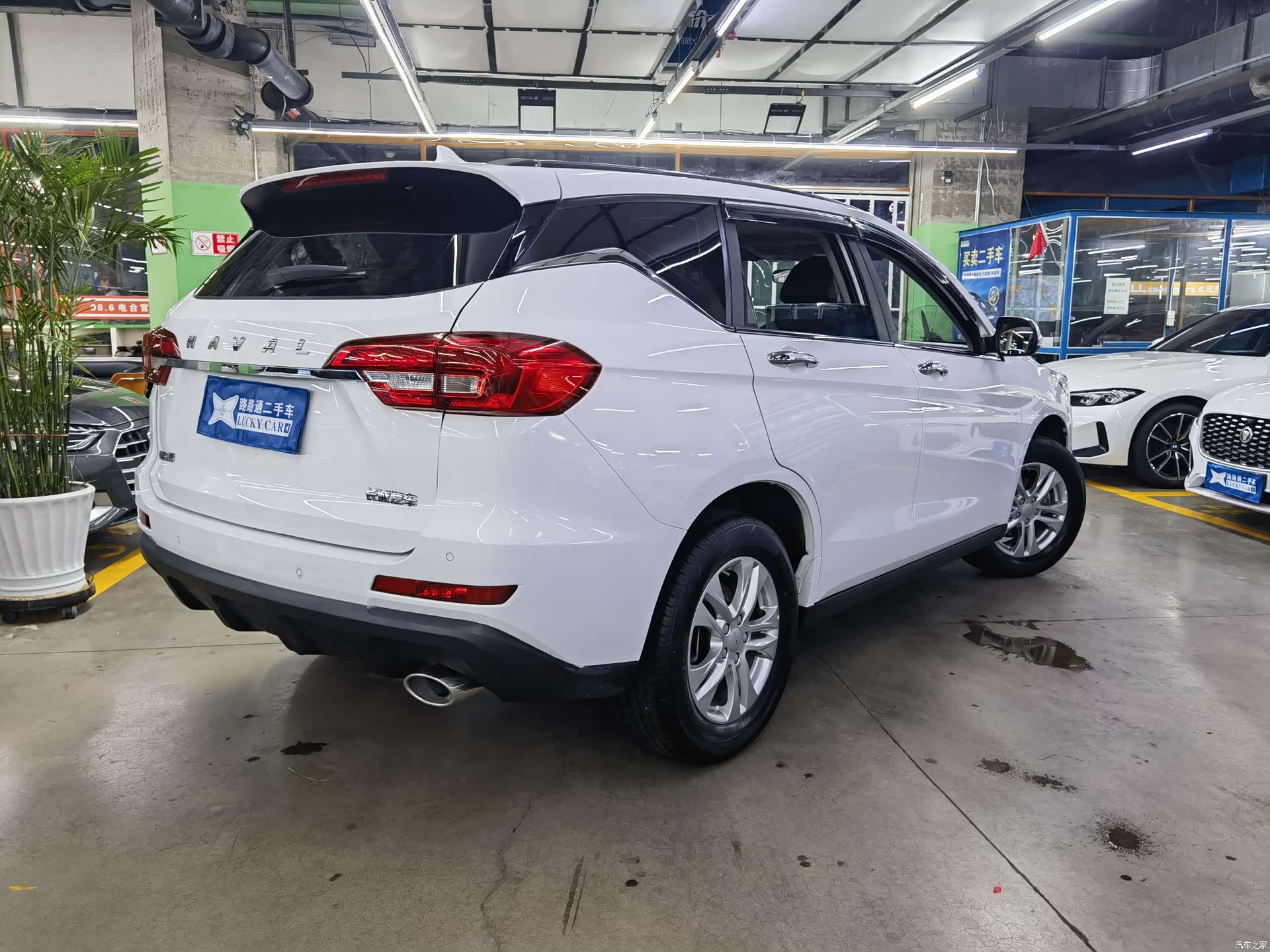 Haval M6, 2020 4