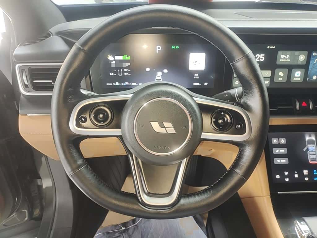 Li Auto ONE, 2021 11