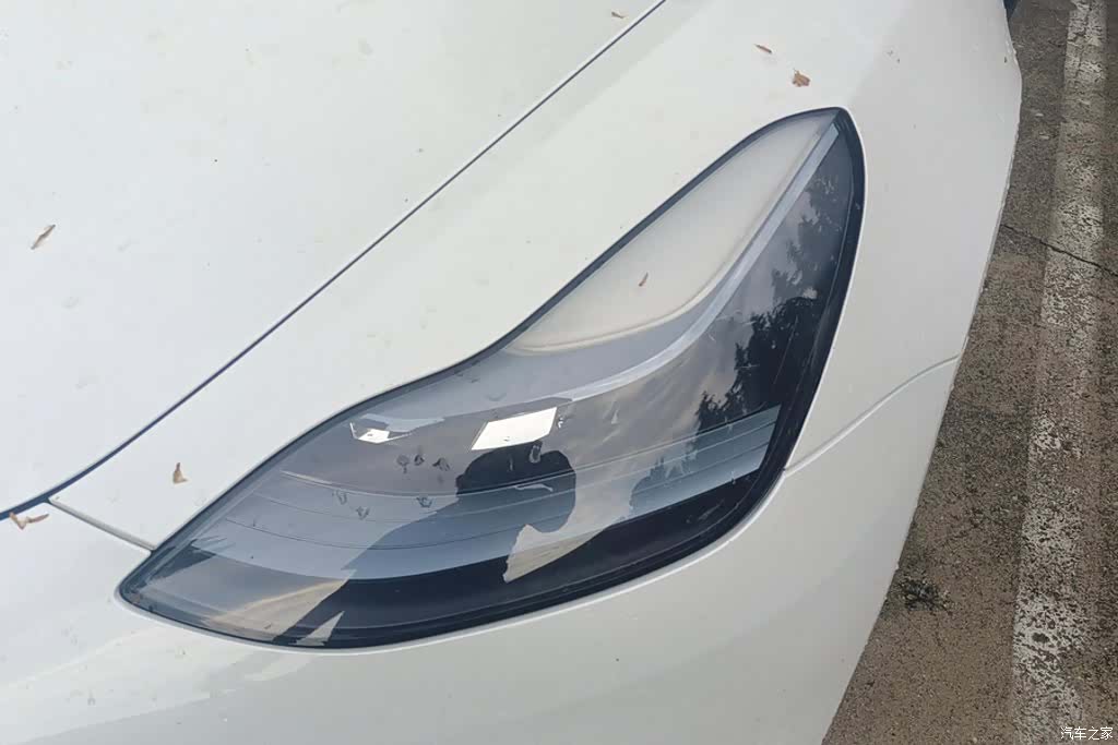 Tesla Model 3, 2023 все фото