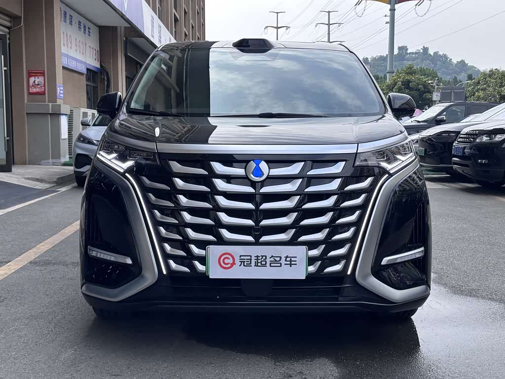 Denza D9