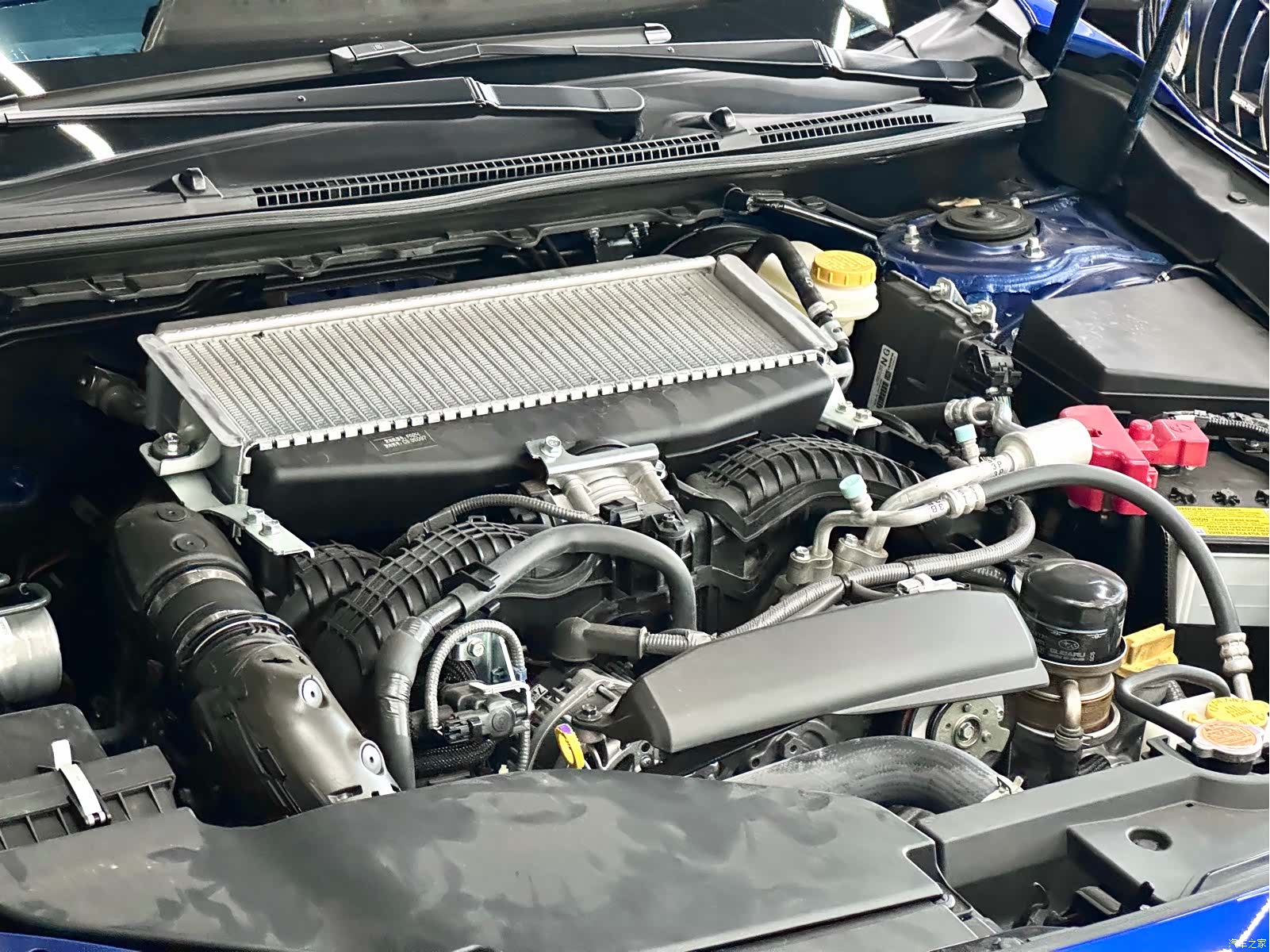 Subaru WRX, 2025 28