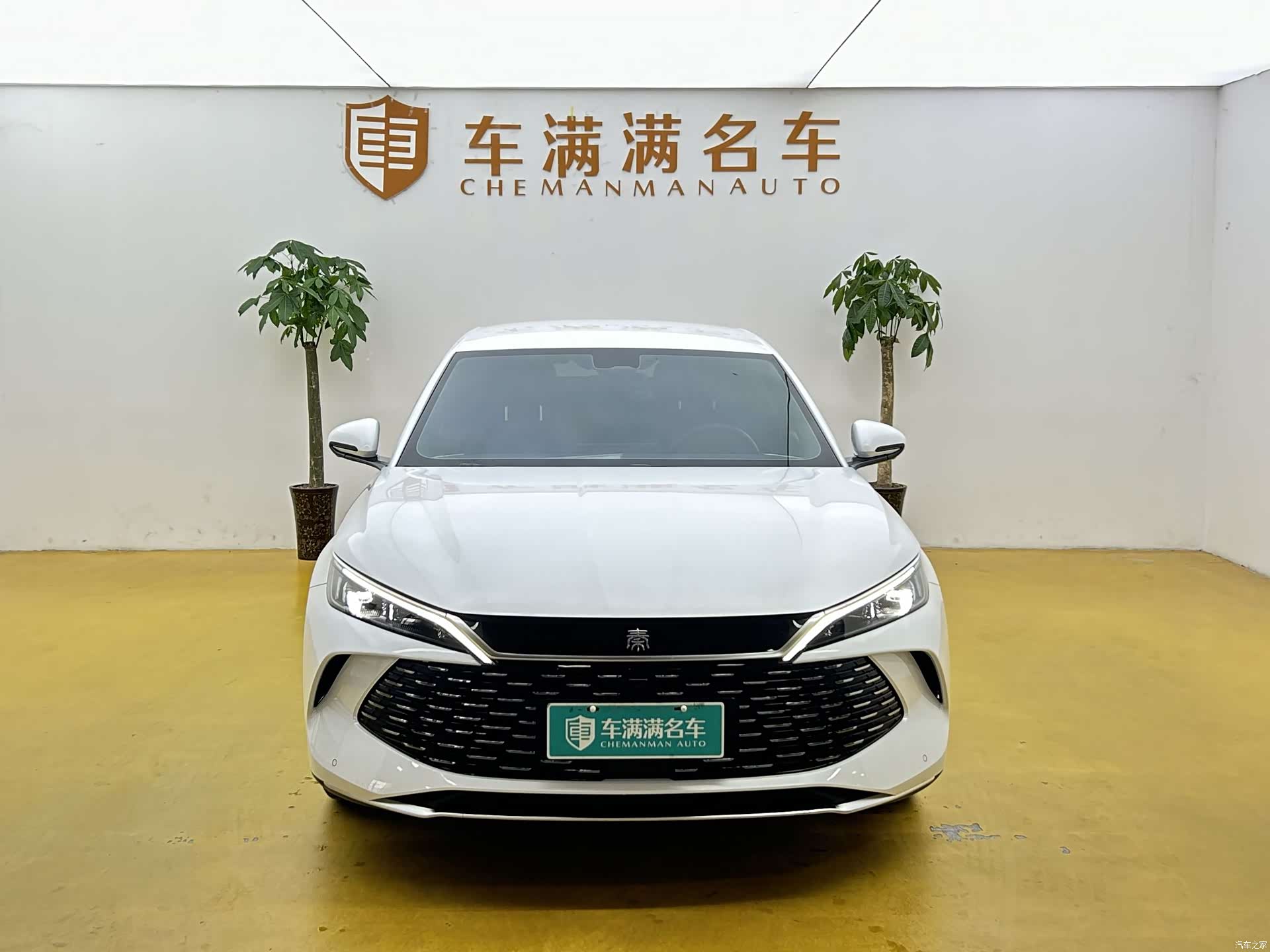 BYD Qin, 2026 2
