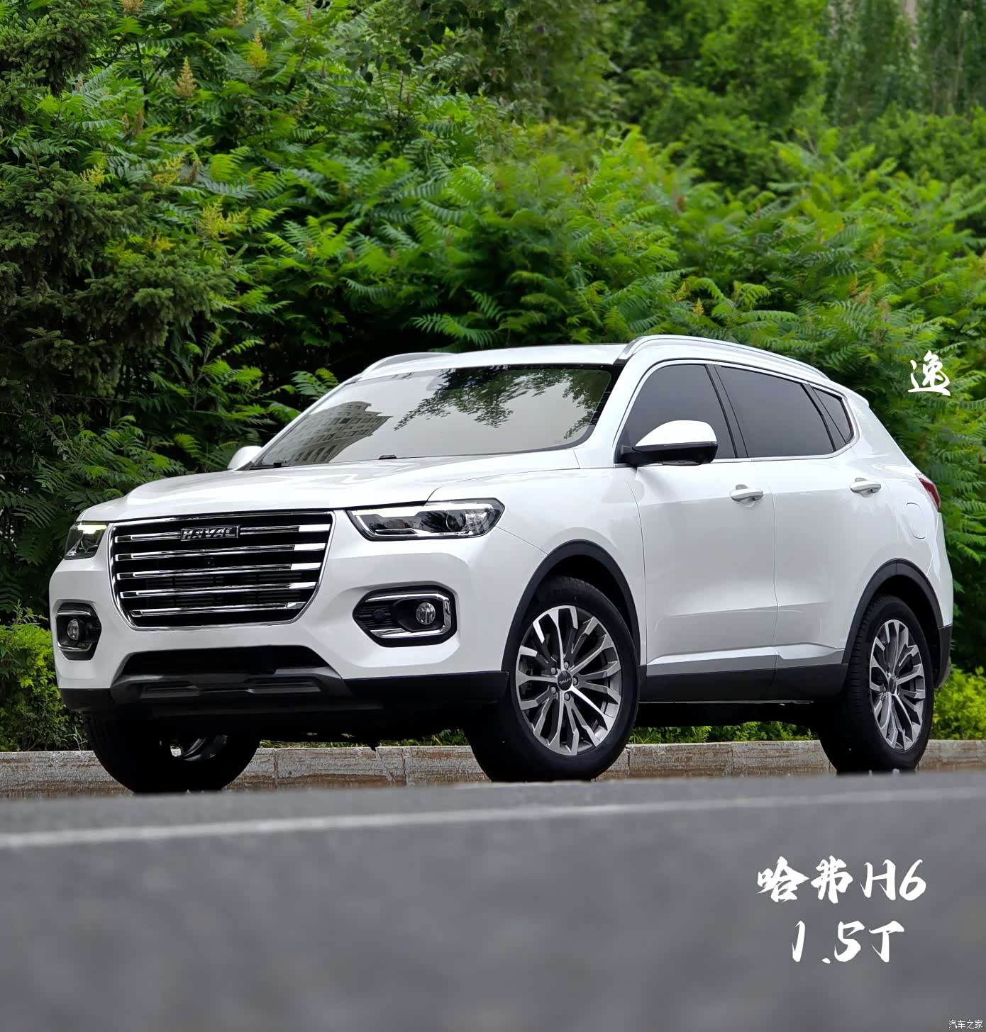 Haval H6, 2020 1