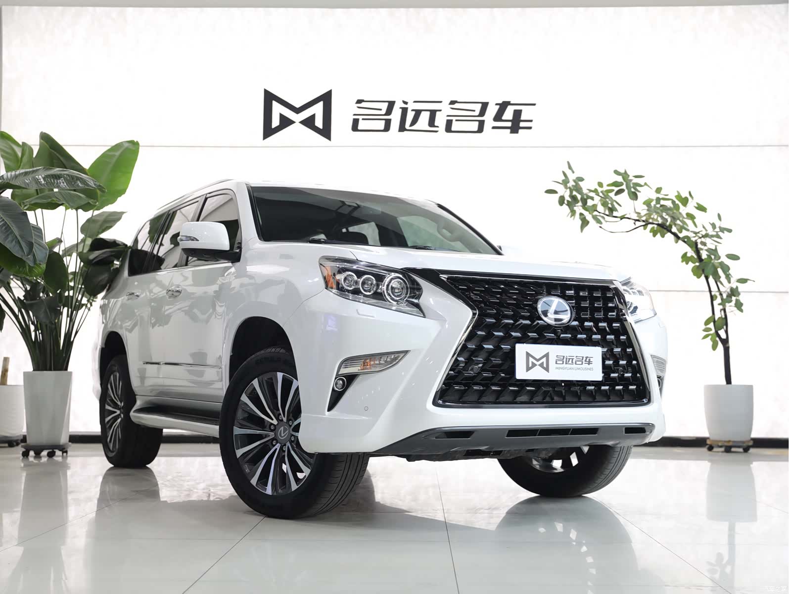 Lexus GX, 2015 3