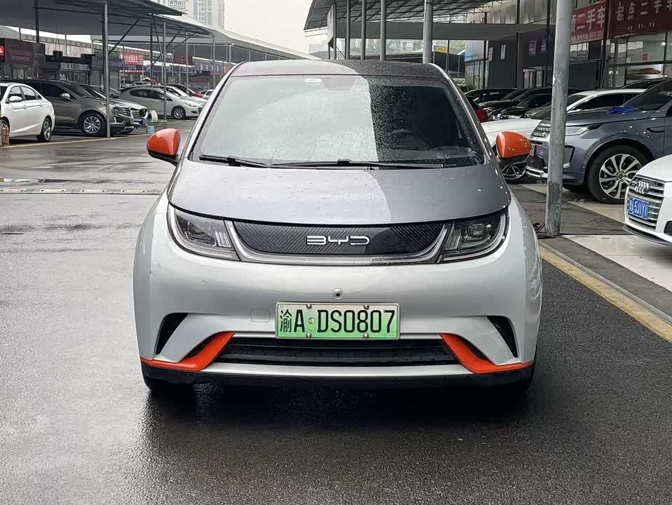 BYD dolphin