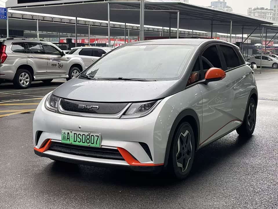 BYD dolphin