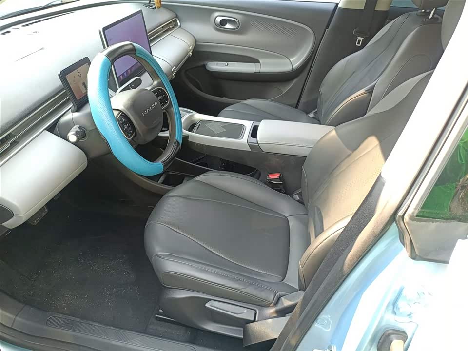 Dongfeng Nammi Nano 01