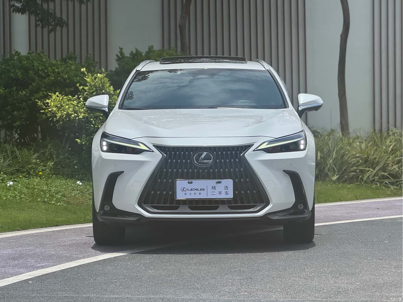 Lexus NX, 2023 2