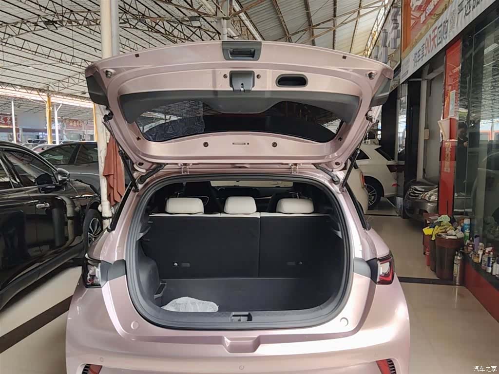 BYD Dolphin, 2025 15