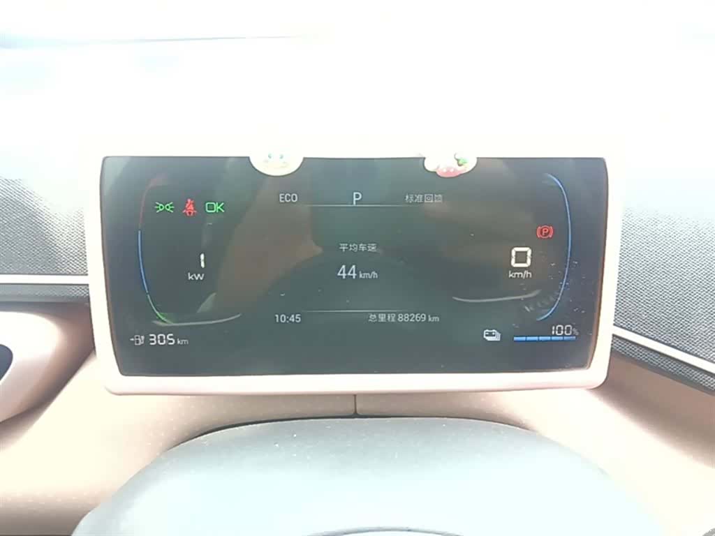 BYD Seagull, 2024 12