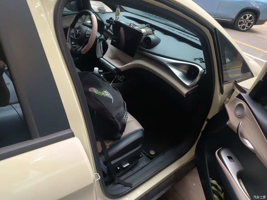 BYD Dolphin, 2024 19