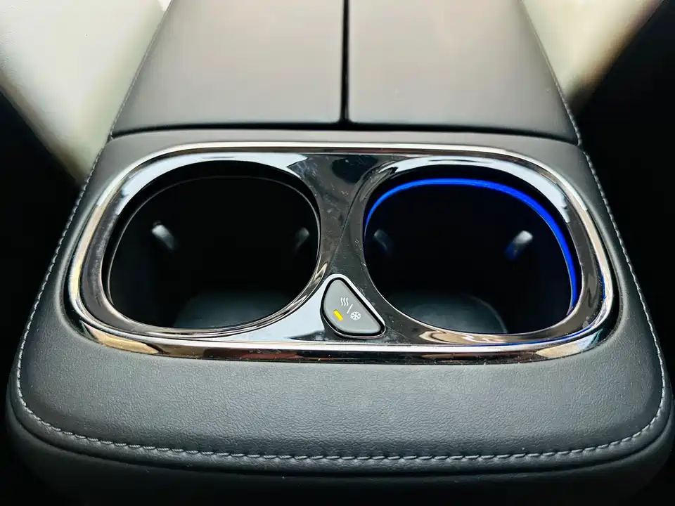 Trumpchi Trumpchi E9