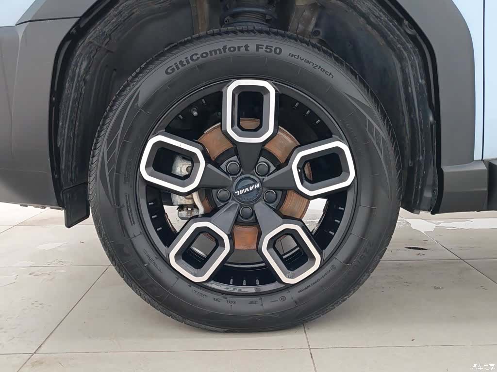 Haval Cool Dog, 2023 17