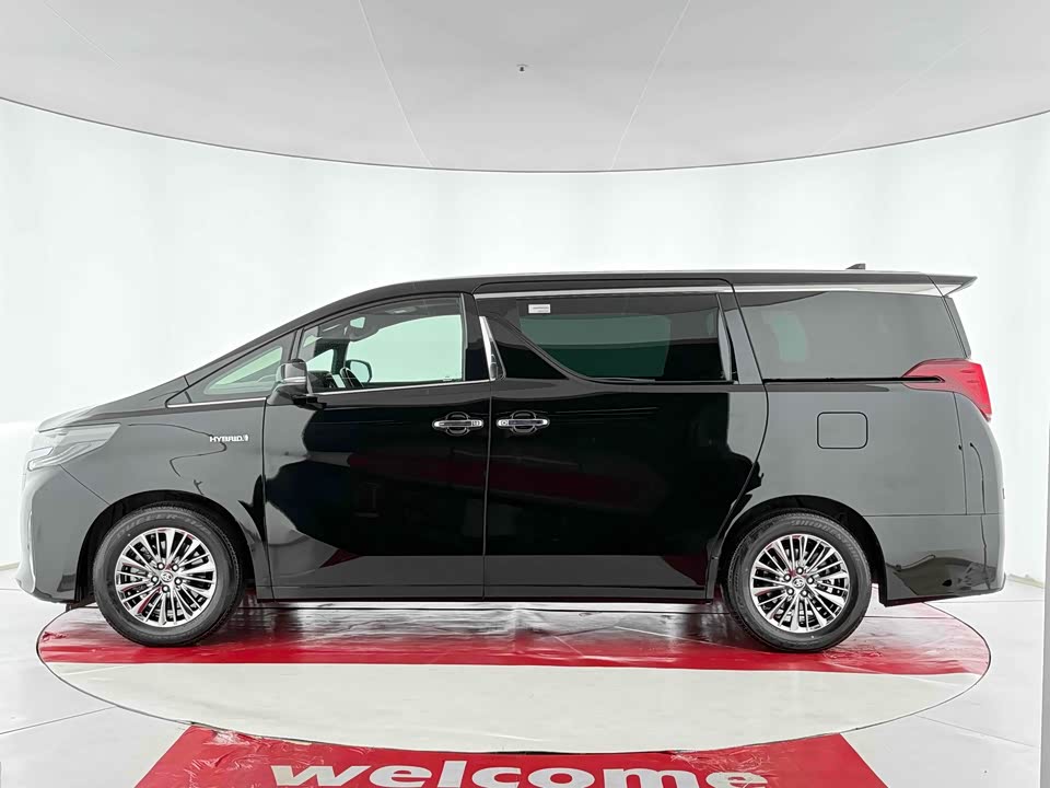 Toyota Elfa
