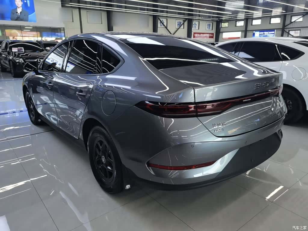 BYD Qin, 2025 все фото