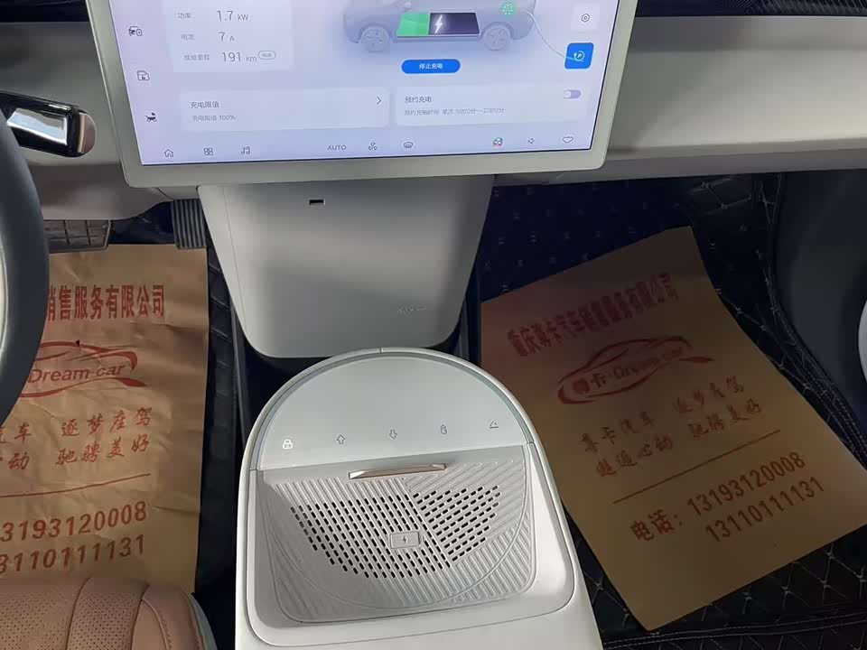 ARCFOX Polar fox koala