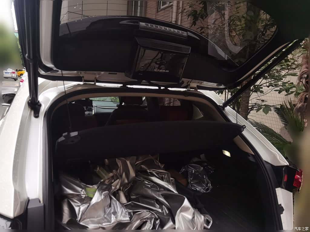 Lexus NX, 2018 10