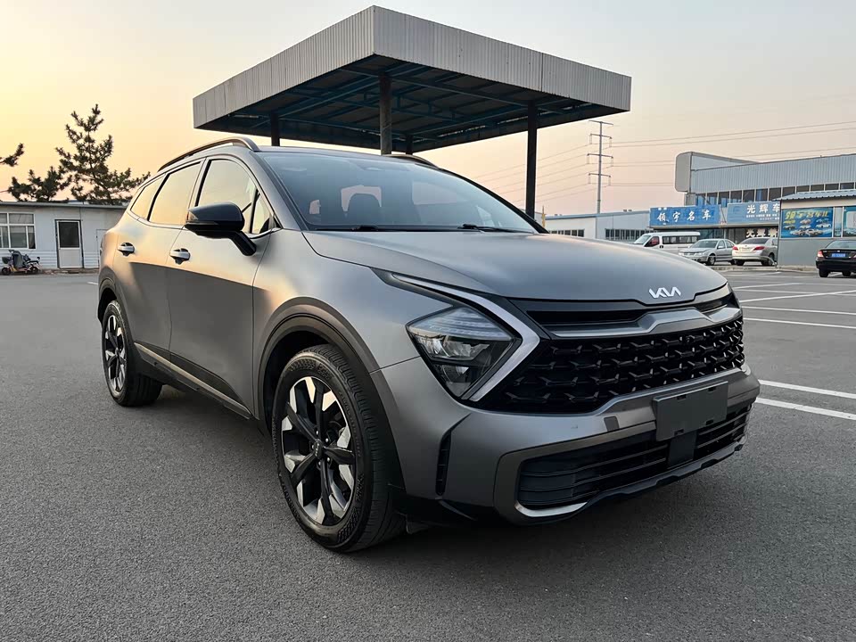 Kia Lion Platinum expands the world