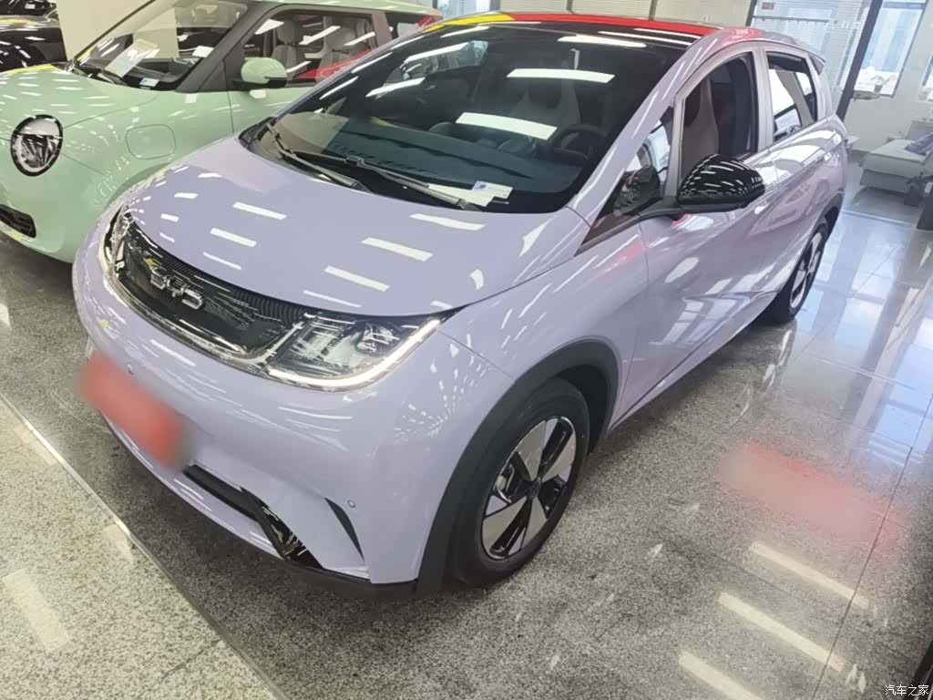 BYD Dolphin, 2024 2
