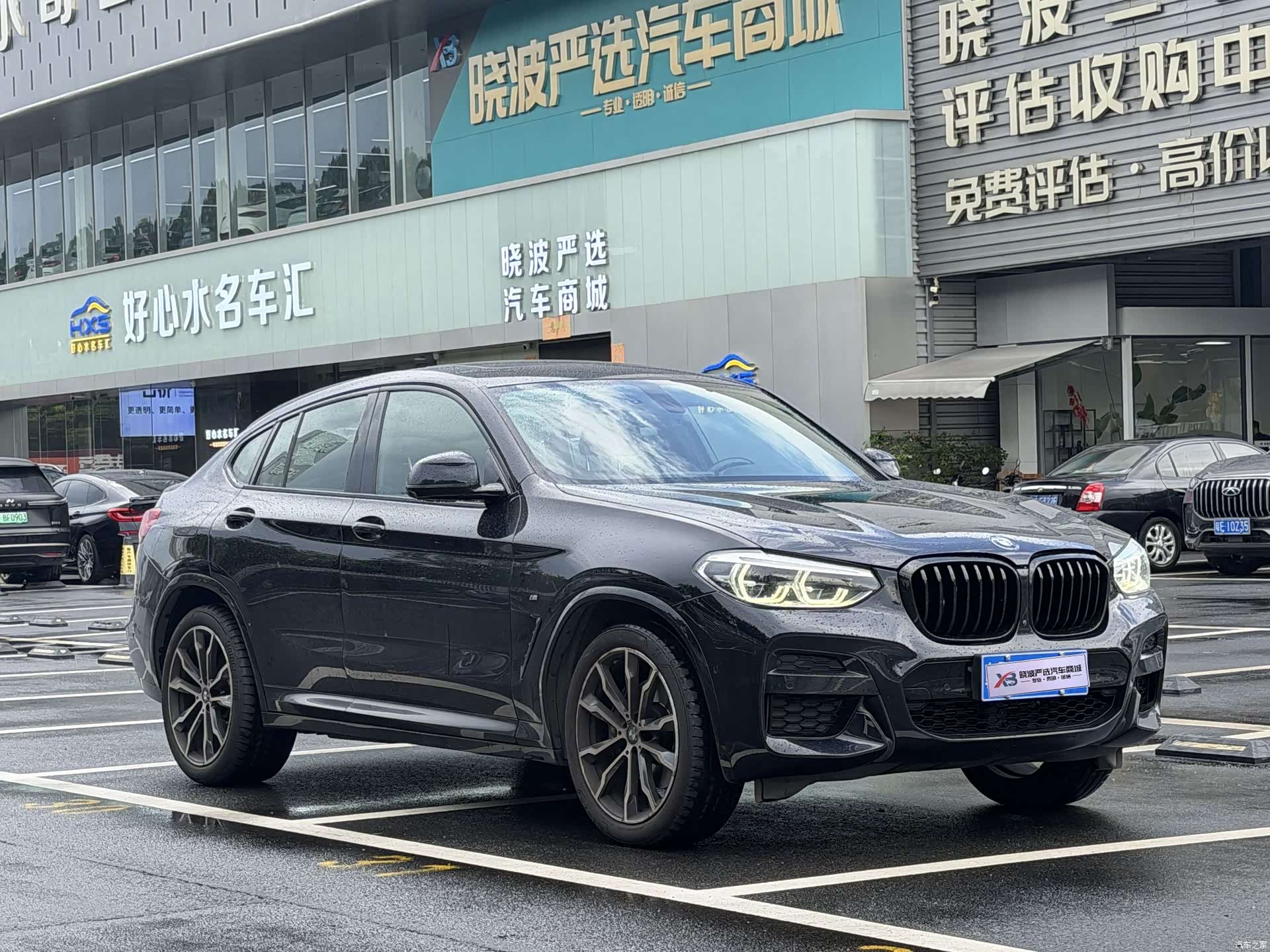 BMW X4, 2020 все фото