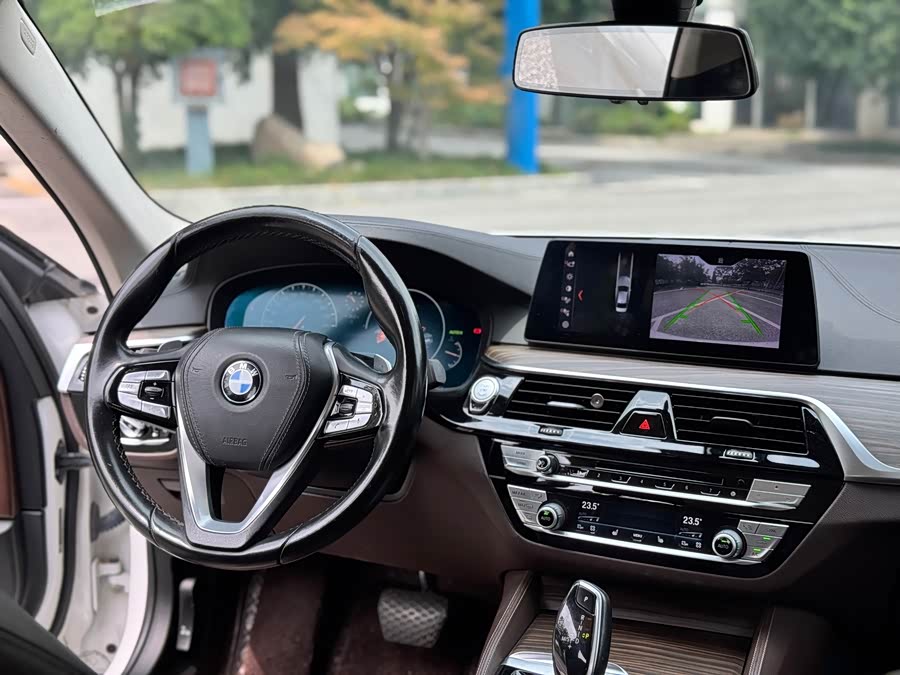 BMW 5 Series 2019, фото 12