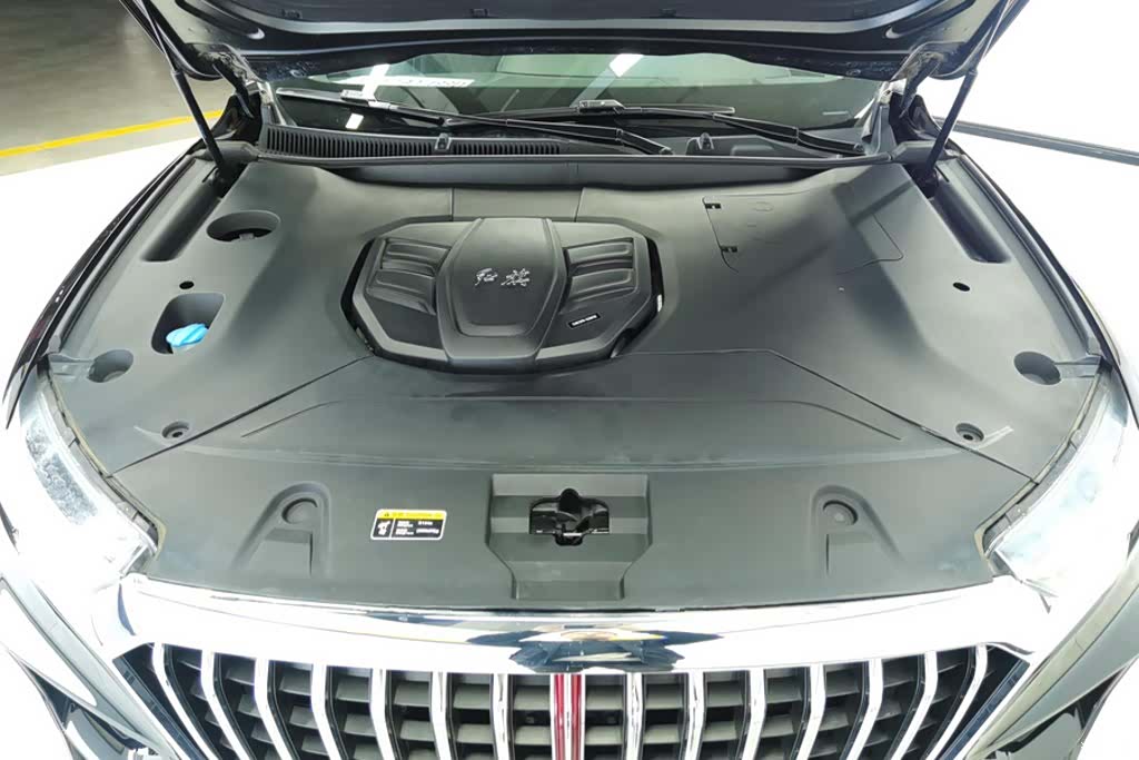 Hongqi HS5, 2021 10